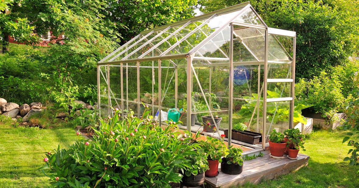 serre de jardin